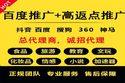 精选案例分享：SEM代运营公司效果展示