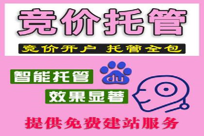 百度推广服务费案例：行业领军企业推广经验分享